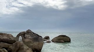 "Beyond the Horizon: Uncovering the Marvels of the Natural World"