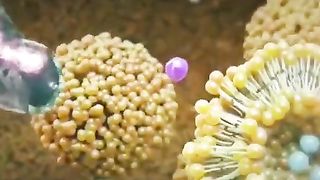 How brain cells communicate Credit : Helix Animation