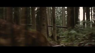 Twilight wolf scenes.