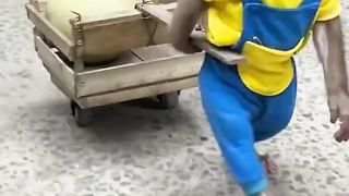 monkey selling melons