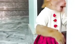 Pulang dari kerja lompat pagar rumah