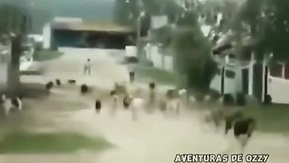 Os perigosos do bairro