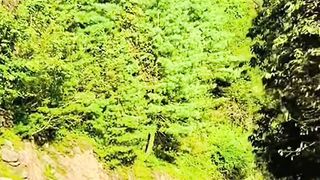 Beautiful View Road of Nathia Gali Pakistan