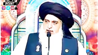 Lovely 274