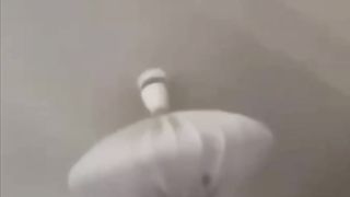 lystra kot abarmot