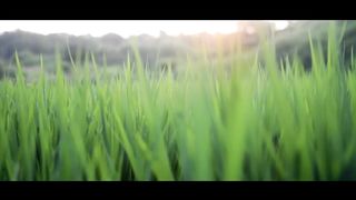 Cinematic natural beauty