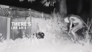Un extraterrestre découvert aux États-Unis _!