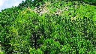 Beautiful Mountain of Kashmir