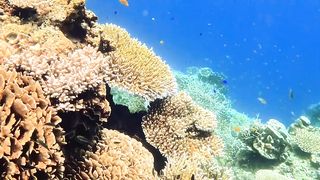 Karimun Jawa seindah ini