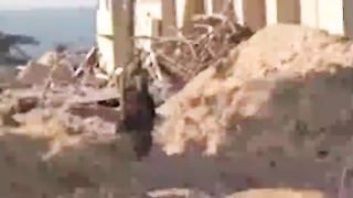 Failed to Eliminate Hamas, 84 IDF Attacked and Killed in Gaza Strip, Resistance Does Not Sluggish