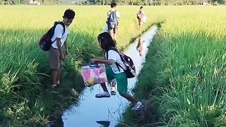 Vast Rice Field