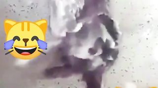 Very funny 78