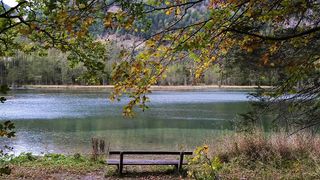 bench in nature