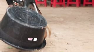 Round Black Basket V.s Slept Dog - Funny Dog Video
