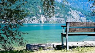 bench in nature 2