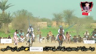 #febspot#foryou #foryoupage#horses#ridings#vedios #fyp #Ahmad#horsepower#trendin44
