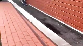 brick panel