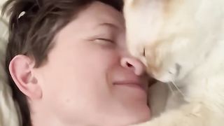 Sweet Cat Begs for Nose Kisses __ ViralHog