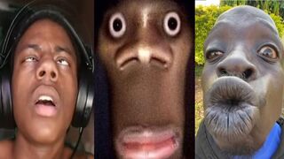 TRY NOT TO LAUGH ???? UNUSUAL MEMES