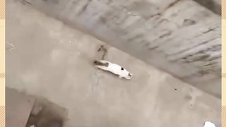 Don't try this at home