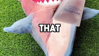 Random facts that daddy told me..  #fypシ゚ #ad #funnyreels #fyp #facts #satisfying #life #factsdaily #interestingfacts #fact