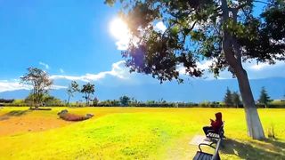 F PEMANDANGAN ALAM ESTETIK NO COPYRIGHT