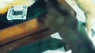 Funny Cat Viral Video 73
