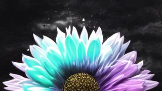 Flower 27