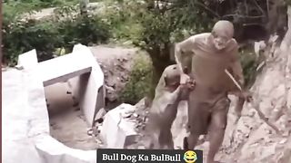 Funny Dog Viral Video 67