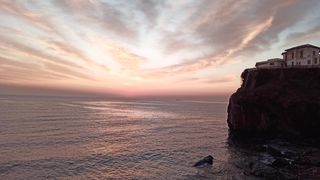 "Harmony of the Wild: Capturing the Essence of Nature"