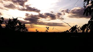 "Unveiling Earth's Tapestry: A Visual Expedition into the Wild"