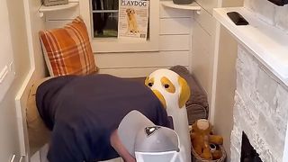 Dogs got grudges too! LOL!!!
