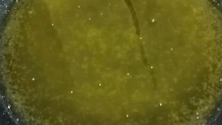 Tips Menggoreng Ikan Agar Tidak Meletus dan Tidak Lengket #fyp #viral #trending #tips #cara