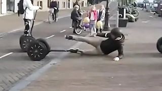 Fails of the Week 2023 ???? Funniest Pets ???? Dogs And Cats Videos 2023 ???? Funny and Cute Animals 527 Top