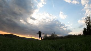 "Majestic Wilderness: A Cinematic Odyssey"