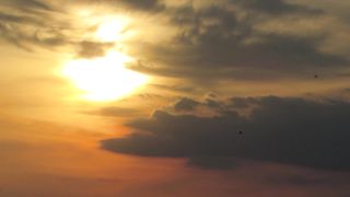 "Whispers of the Earth: Tales from the Natural Realm"