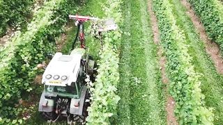 GIRL ON TRACTOR _ Giulia and Fendt Favorit 920 _ Sorghum Silage