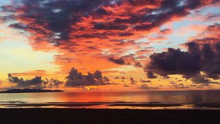 "Ecoscapes: A Visual Elegy to the Natural World"