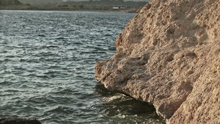 "Zenith of the Wild: A Visual Overture to Nature's Majesty"