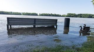 flood 3