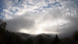 "Vocal Tranquility: A Journey to Serenity"