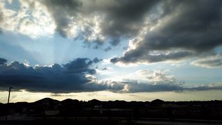 "Serenade Me Softly: A Vocal Chill Symphony"