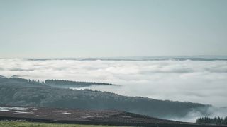 "Echoes of Euphony: A Chill Vocal Haven"