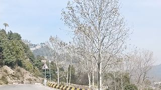 In the Base of Malka Kohsaar Murree