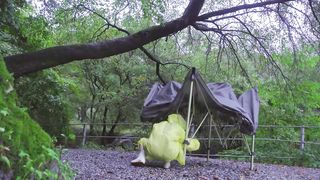 SOLO CAMPING in NON - STOP RAIN |  seafood ramen and a glass of soju
