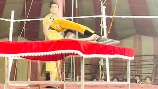 Circus 3