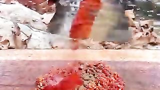 Mutton kabaab
