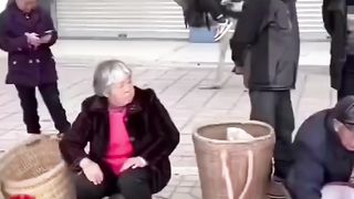 Ostrich shoping.  Funny ???? ostrich.   I Plz subscribe.