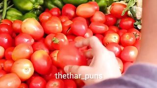 Funny tomato video
