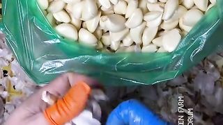 How to remove garlic from shell.   Good ???? method.